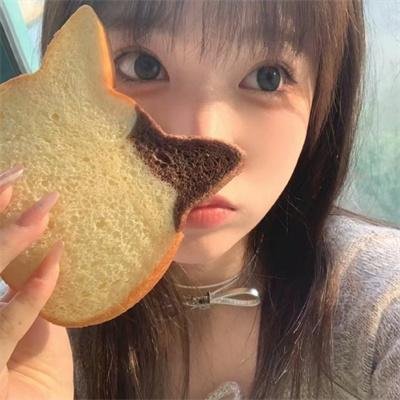 爱是一只猫